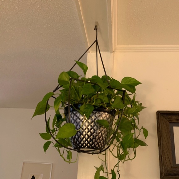 Iron decor - Picture 6 of 6